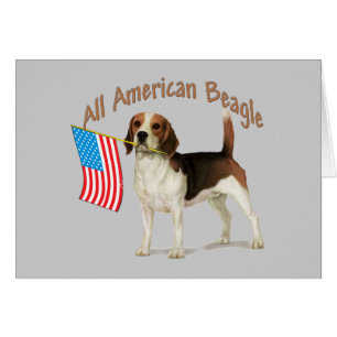 Alle Amerikaanse cadeautjes van Beagle