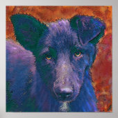 alle amerikaanse muts poster (Voorkant)