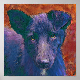 alle amerikaanse muts poster