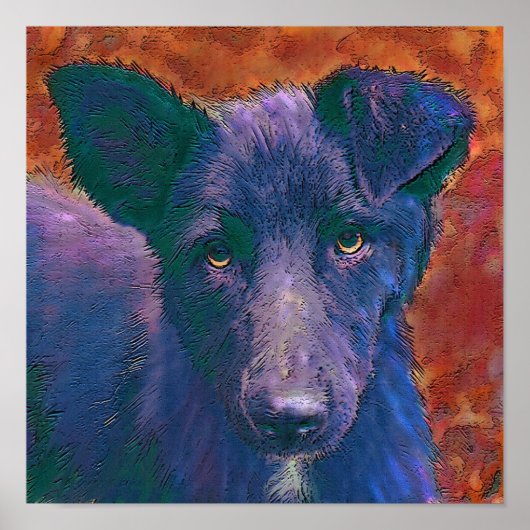 alle amerikaanse muts poster (Voorkant)