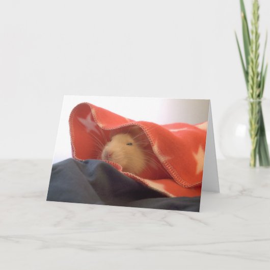 Alle Amerikaanse ratten Bedankkaart (Voorkant)