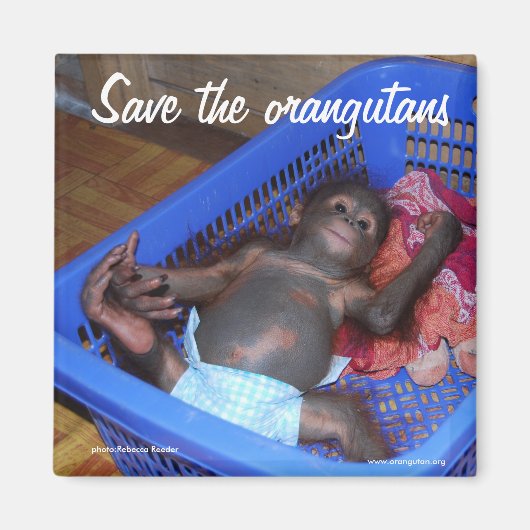 Alle baby's hebben liefde nodig magneet (Voorkant)