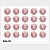 ALLE BEGINLETTERS Zilveren Cirkel Monogram Roze Ronde Sticker (Vel)