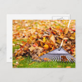 Alle bladeren met een heek briefkaart (Voorkant / Achterkant)