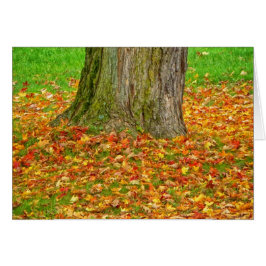 Alle bladeren rond de boom vallen