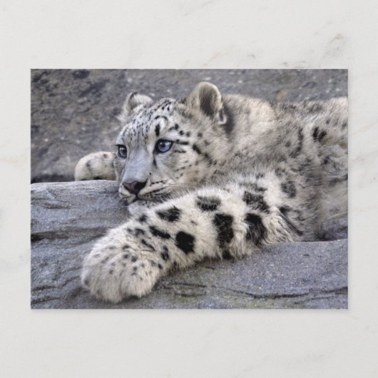 Alle Briefkaart met afspeelplaat (Voorkant)