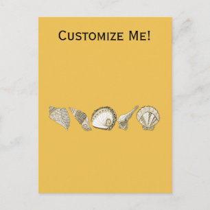 Alle Collectie Kleurhandgetekend Seashell Briefkaart