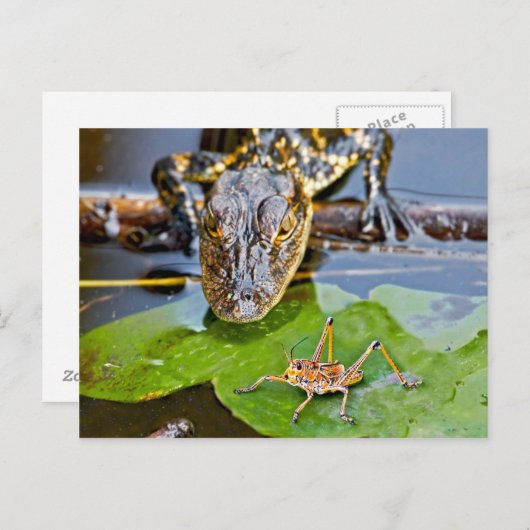 Alle creaties geweldig en klein briefkaart (Voorkant / Achterkant)