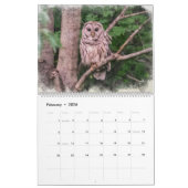 Alle creaties - Geweldig en klein kalender (Feb 2026)