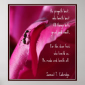 Alle creaties geweldig en klein poster (Voorkant)