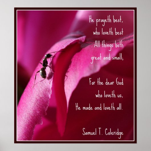 Alle creaties geweldig en klein poster (Voorkant)