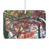 Alle Dingen Helder en Mooi Auto Luchtverfrisser (Voorkant)