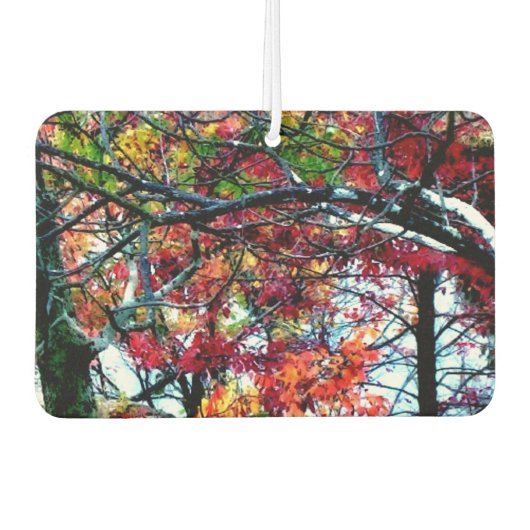 Alle Dingen Helder en Mooi Auto Luchtverfrisser (Voorkant)