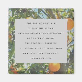 Alle disciplinemagneet magneet