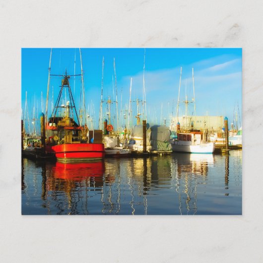 Alle docks briefkaart (Voorkant)