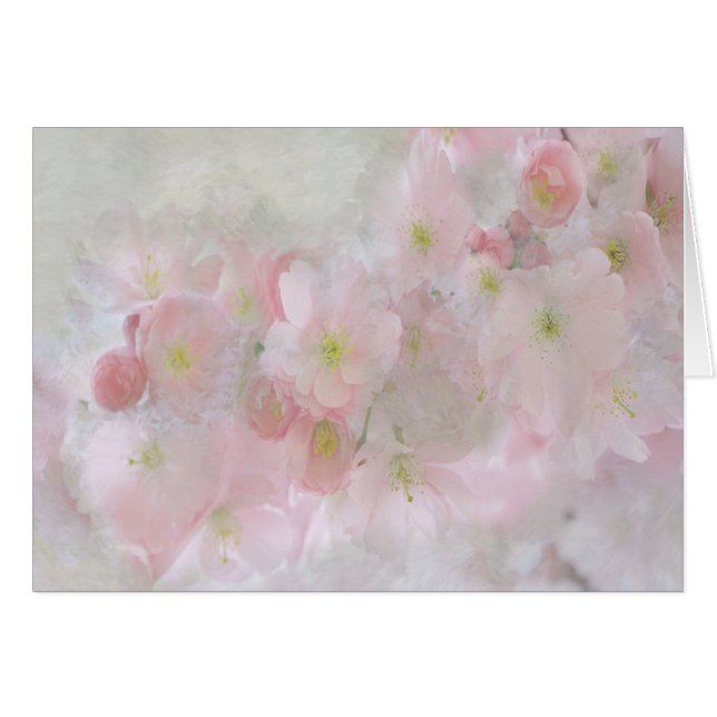 Alle dromen in roze (Voorkant Horizontaal)