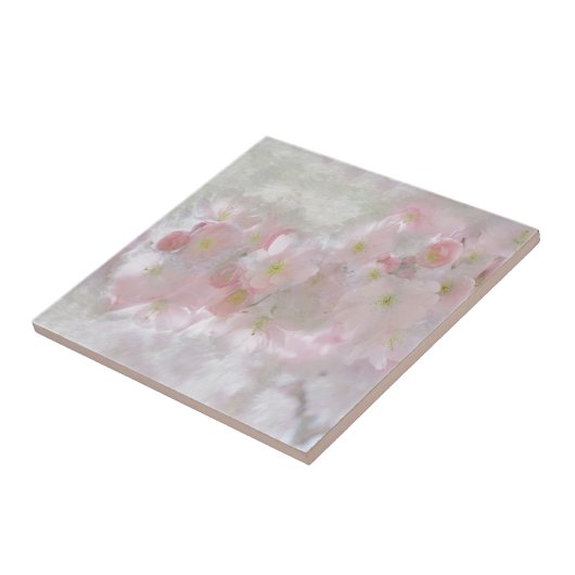 Alle dromen in roze tegeltje (Zijkant)