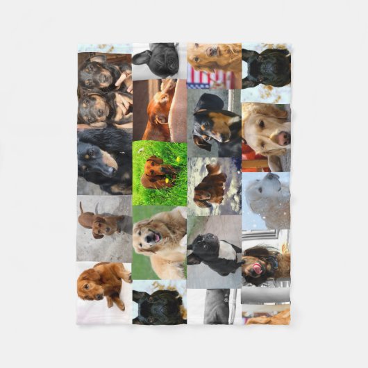 Alle fleece dekens van mijn honden Foto toevoegen (Voorkant)