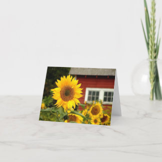 Alle gebruikte/sunflower kaart
