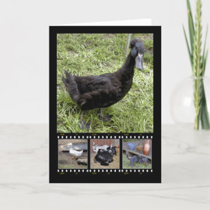 Alle gekraakte film strip Wenskaarten Kaart