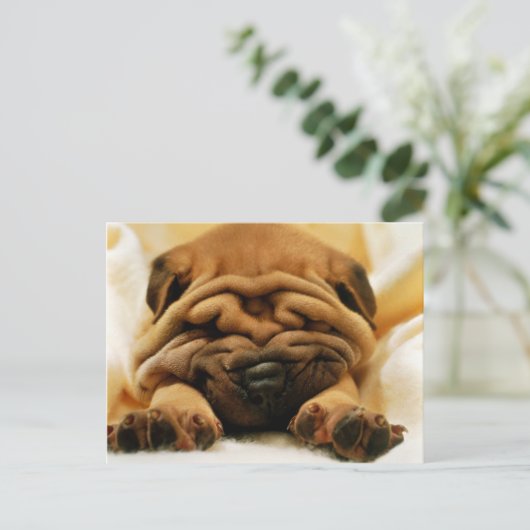 Alle gekreukeld briefkaart (Staand voorkant)