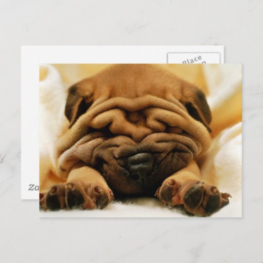 Alle gekreukeld briefkaart (Voorkant / Achterkant)