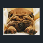 Alle gekreukeld briefkaart<br><div class="desc">Alle gekreukeld</div>