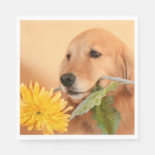 Alle gelegenheden Golden Retriever Hond met Bloem Servetten (Voorkant)