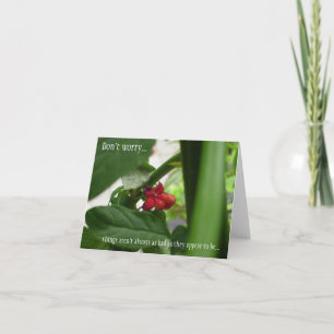 Alle gelegenheden Sympathie Kaart