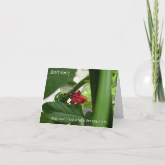 Alle gelegenheden Sympathie Kaart