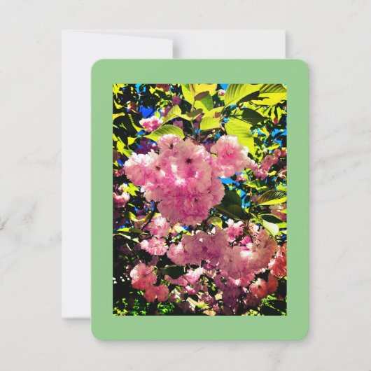 Alle Gelegenheid Kaart, Grootte: 4.25"x 5.5", Docu Feestdagenkaart (Voorkant)