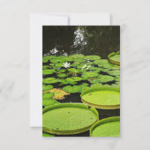 Alle Gelegenheid Kaarten (Voorkant)