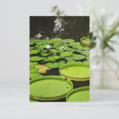 Alle Gelegenheid Kaarten (Staand voorkant)