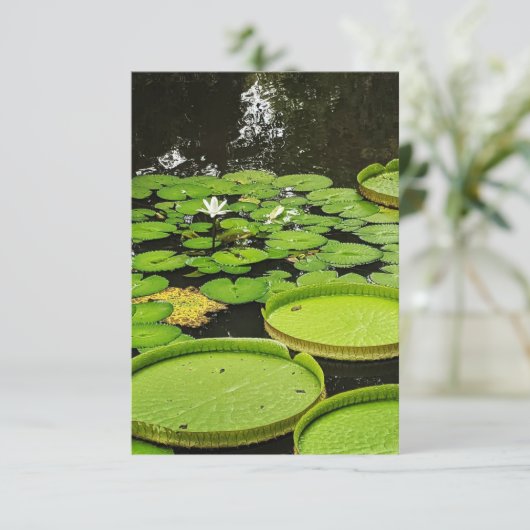 Alle Gelegenheid Kaarten (Staand voorkant)