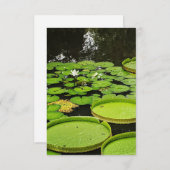 Alle Gelegenheid Kaarten (Voorkant / Achterkant)