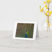 Alle Gelegenheid Kaarten (Gele Bloem)