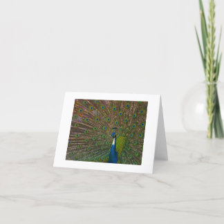 Alle Gelegenheid Kaarten