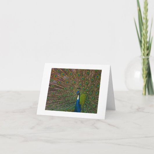 Alle Gelegenheid Kaarten (Voorkant)