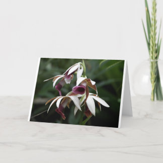 Alle gelegenheid wenskaart met mooie bloem kaart