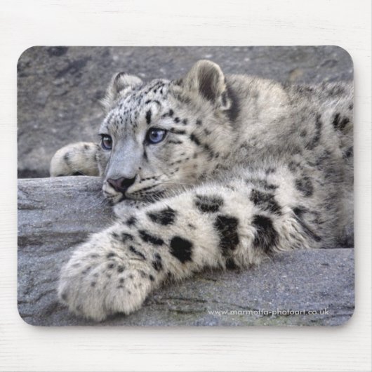 Alle gespeelde mousemat muismat (Voorkant)