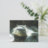 Alle glimlach briefkaart (Staand voorkant)