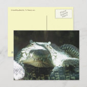 Alle glimlach briefkaart (Voorkant / Achterkant)