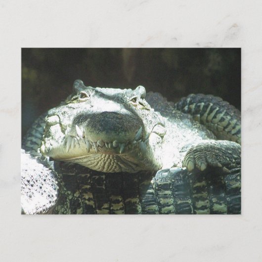 Alle glimlach briefkaart (Voorkant)