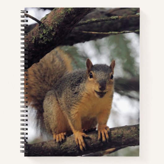 Alle glimlach notitieboek (Voorkant)