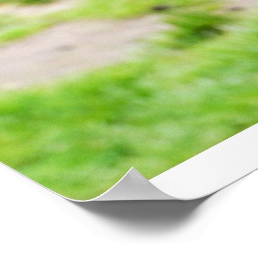 Alle glimlach poster (Hoek)