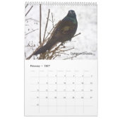 Alle goddelijke ritten - Kalender (Feb 2027)