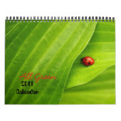 Alle groene agenda 2011 kalender (Hoes)