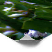 Alle grote wijzigingen Poster (Hoek)