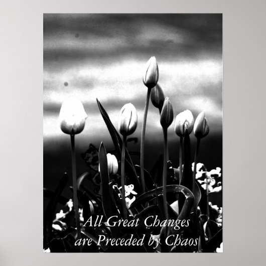 Alle grote wijzigingen Poster (Voorkant)