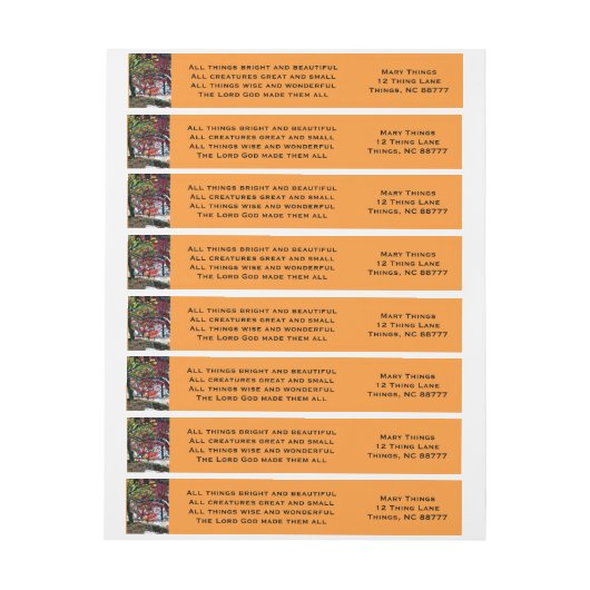 Alle heldere en mooie wrakken-etiketten (Vel)